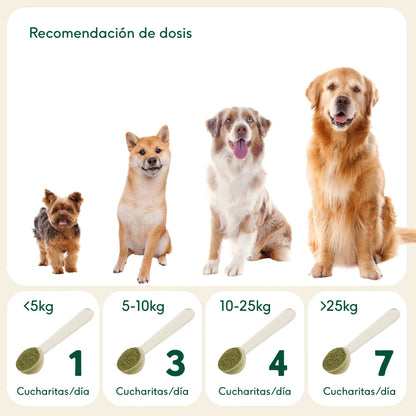 Wild Balance - Levadura de Cerveza en polvo