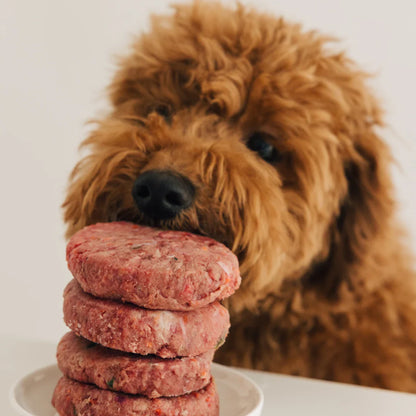 Wild Balance - Menú BARF de Salmón con verduras frescas para perros