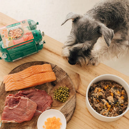 Wild Balance - Comida Cocinada de Salmón y Ternera con verduras 1.3kg