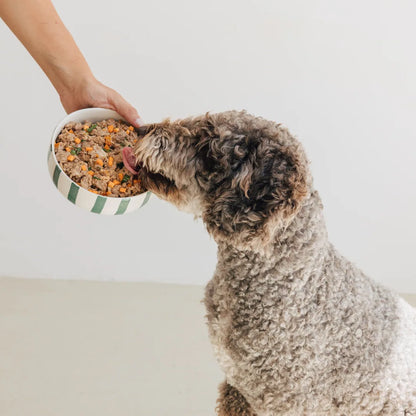 Wild Balance - Comida Humeda para perros 400g - Filosofía BARF