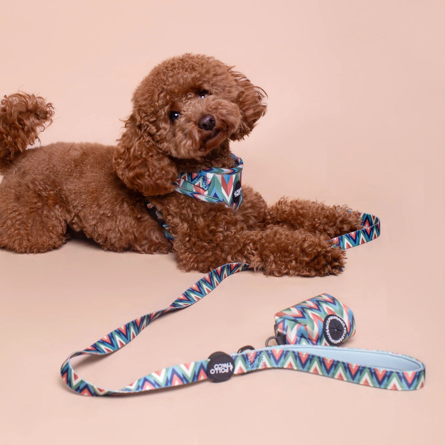 Pollo and Paco - Dispensador de bolsa Estampado