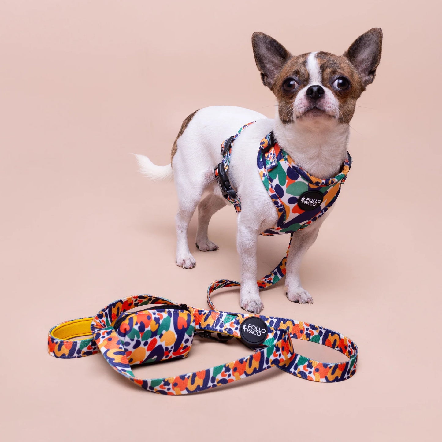 Pollo and Paco - Correa Estampada para Perros