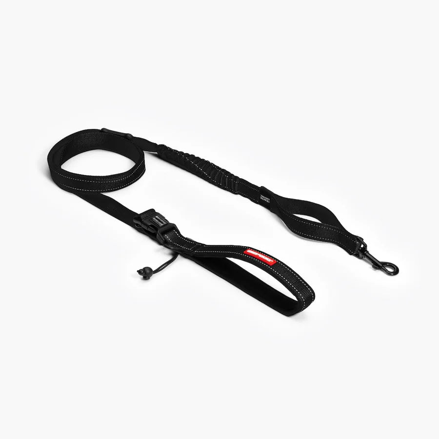 Ezydog Correa Road Runner