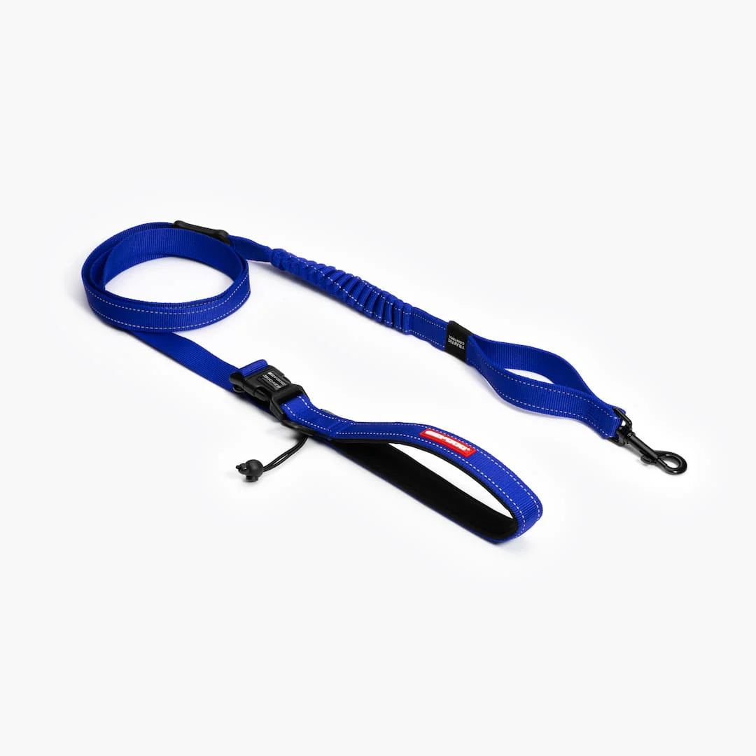 Ezydog Correa Road Runner