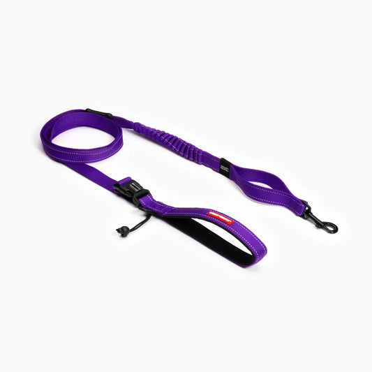 Ezydog Correa Road Runner