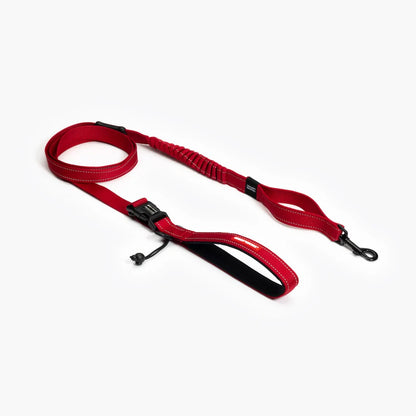 Ezydog Correa Road Runner