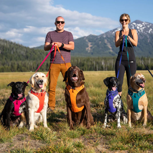 RUFFWEAR Front Range Harness