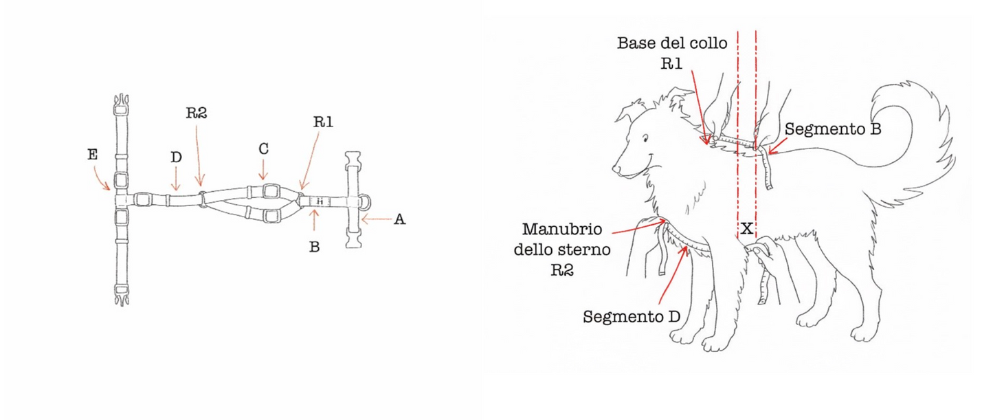 Haqihana Harness - Artic