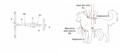 Haqihana Harness - Artic