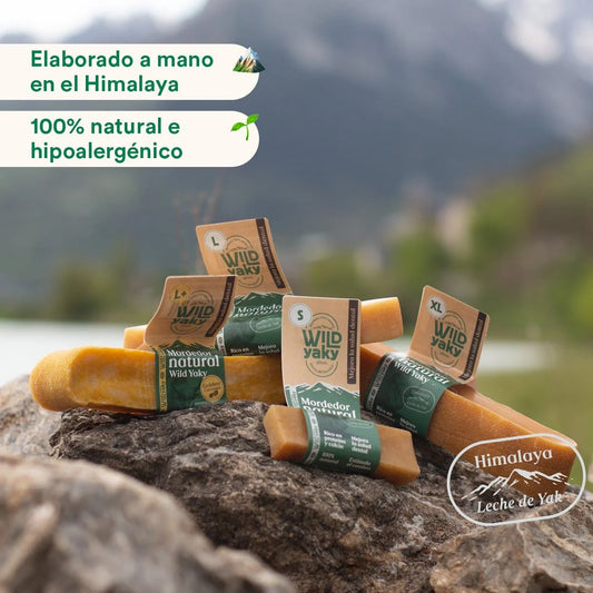 Wild Yaky Golden – Barrita de Leche de Yak del Himalaya con Cúrcuma