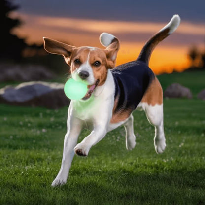 Chuckit! Max Glow Ball