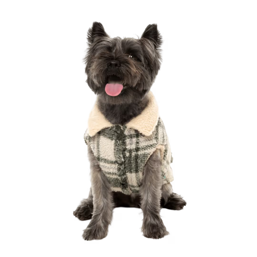 FuzzYard Jacket - The Lumberjack