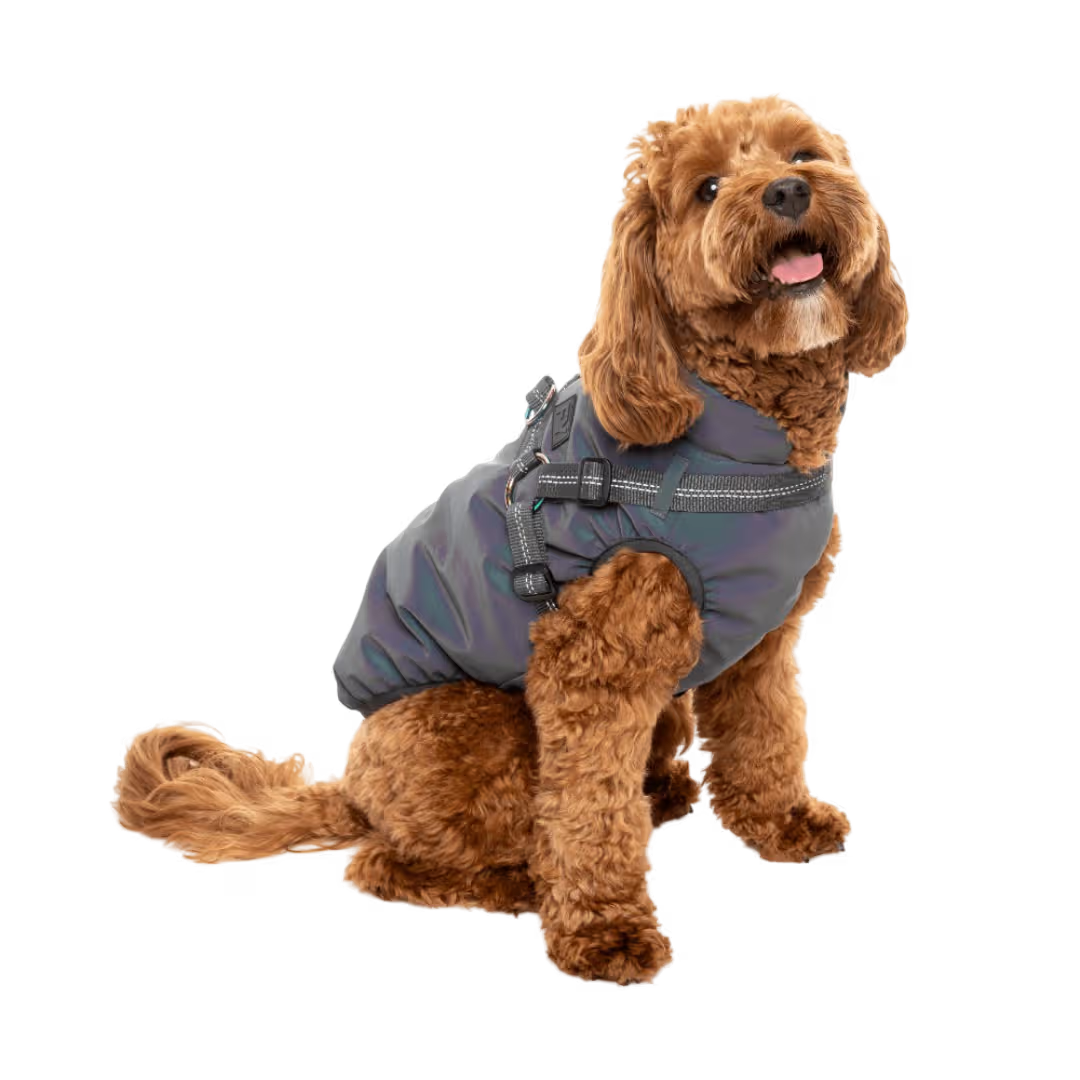 FuzzYard Jacket - Flash Reflective