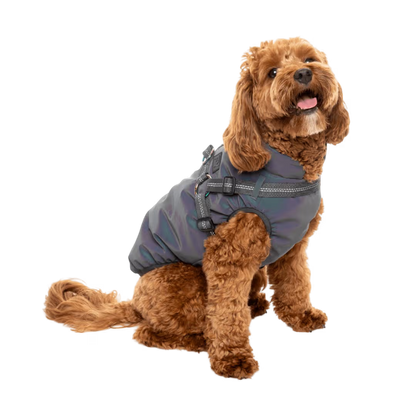 FuzzYard Jacket - Flash Reflective