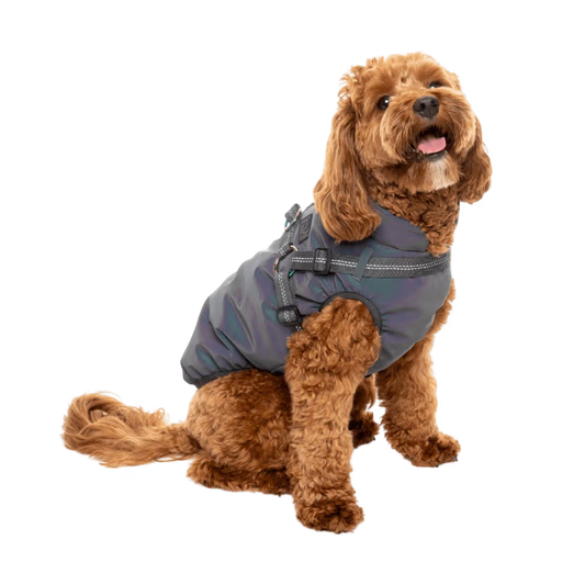 FuzzYard Jacket - Flash Reflective