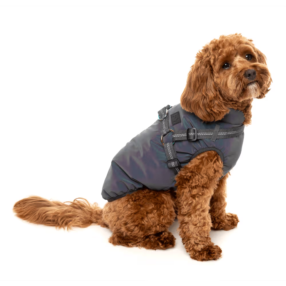 FuzzYard Jacket - Flash Reflective