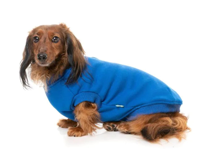 FuzzYard Sweater - Allday 25