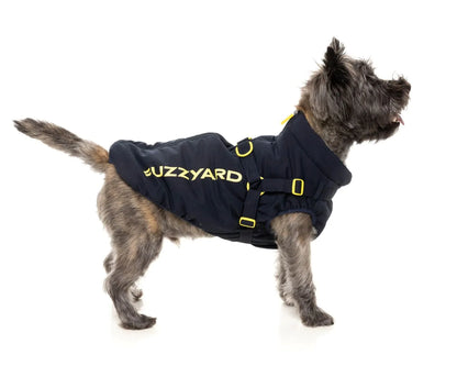 FuzzYard Jacket - Horizon