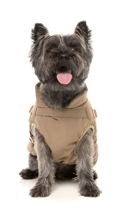 FuzzYard Jacket - Horizon