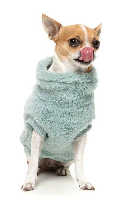 Fuzzyard Sweater - Turtle Teddy