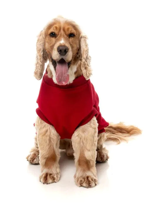 FuzzYard Sweater - Allday 25