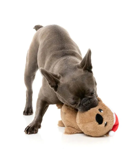 Fuzzyard Xmas - Felix-Navidad the Wombat